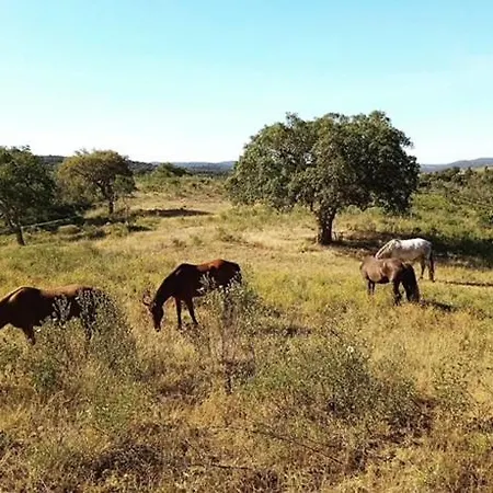 Glamping Safari Da Paz * ألخيزور